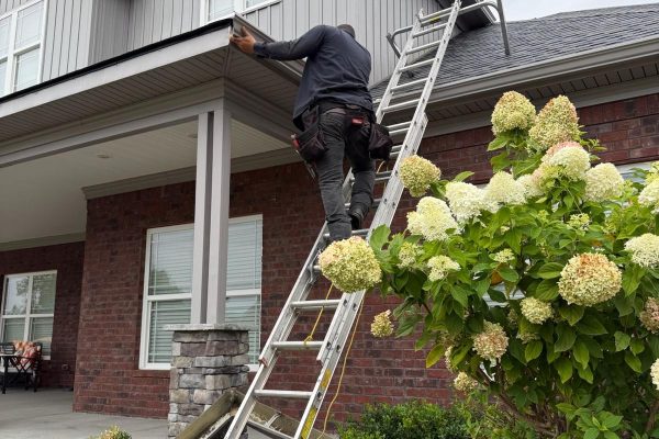 WhatsApp Image 2025-10-01 at 12.55.53