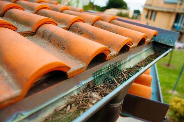 Gutter filled with debris needs cleaning to prevent water damage to house